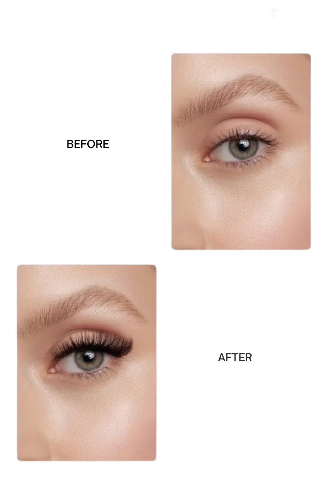 Magnetic lashes with applicator